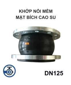 Khớp nối mềm mặt bích cao su DN125