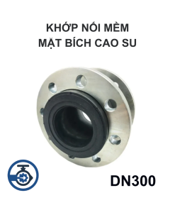 Khớp nối mềm mặt bích cao su DN300