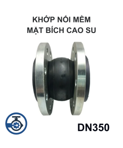 Khớp nối mềm mặt bích cao su DN350