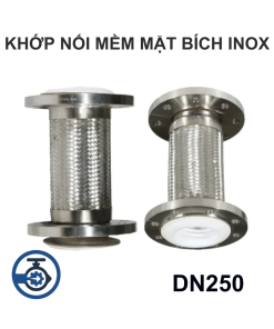 Khớp nối mềm mặt bích inox DN250