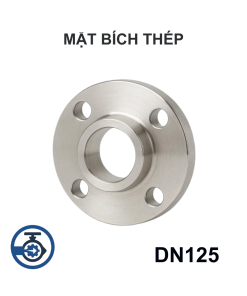 Mặt bích thép mạ kẽm DN125