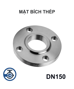 Mặt bích thép mạ kẽm DN150