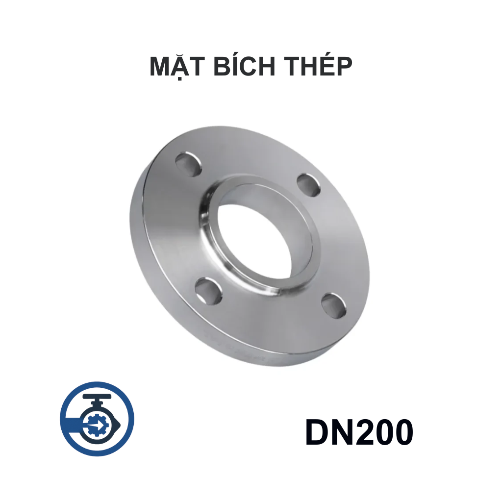 Mặt bích thép mạ kẽm DN200 11 Mặt bích thép mạ kẽm DN200