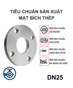 Mặt bích thép mạ kẽm DN25