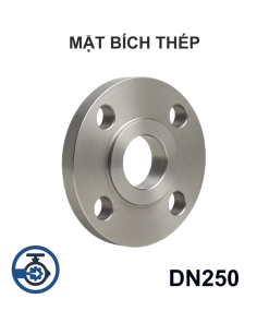 Mặt bích thép mạ kẽm DN250