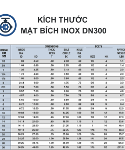 Mặt bích Inox DN300
