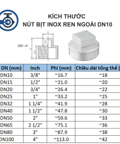 Kích thước Nút bịt inox ren ngoài DN10