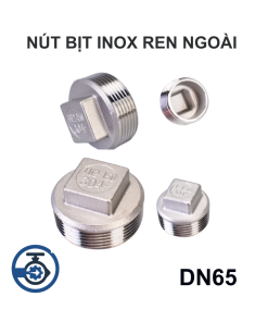 Nút bịt inox ren ngoài DN65