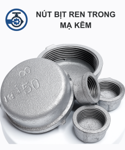 Nút bịt ren trong mạ kẽm